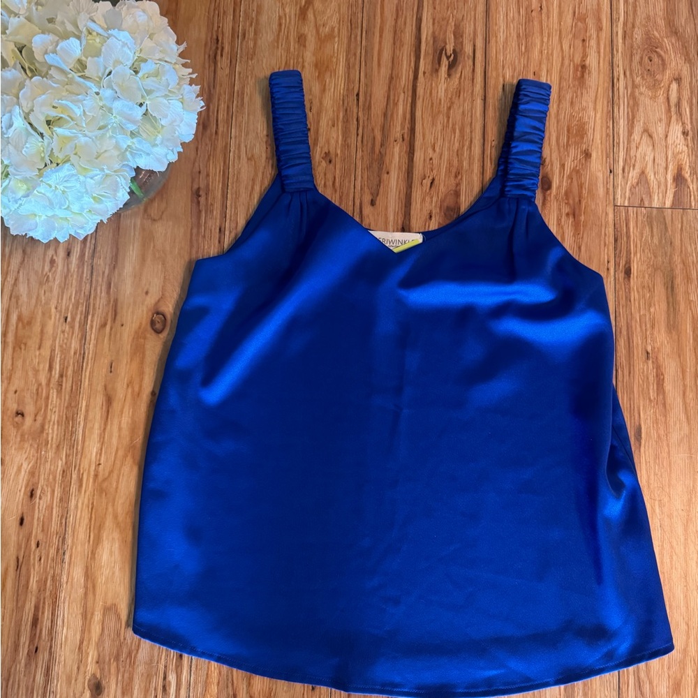 NWT Blue Satin Top